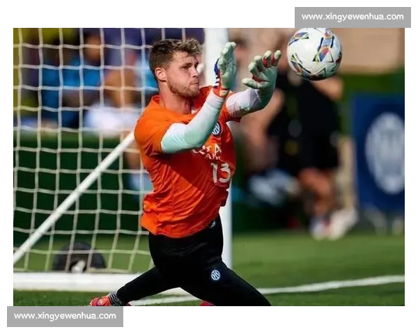 马洛塔怒批争议点球：一次误判改写意甲榜首战